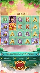xxx777 · Lgd Monkey Kg